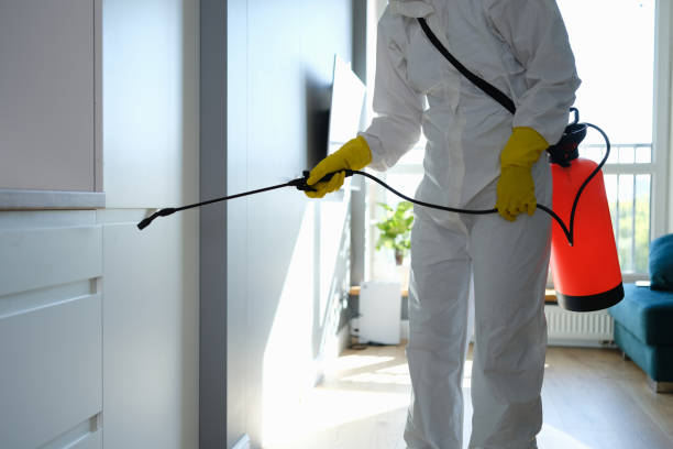 Best Home Mold Removal  in Fort Meade, MD