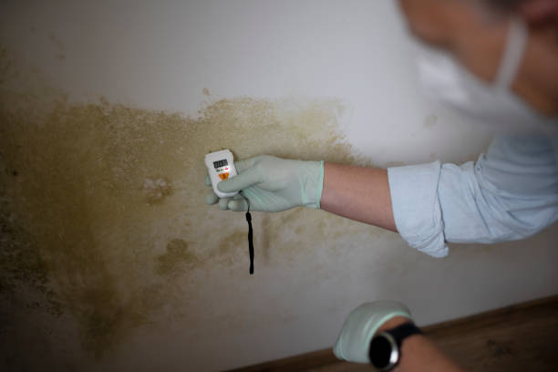 Best Mold Cleaning Services  in Fort Meade, MD